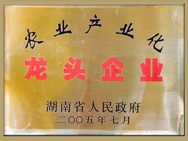 龍頭企業(yè)